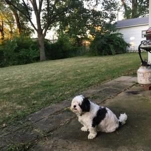 Meet your Posher, Sharon